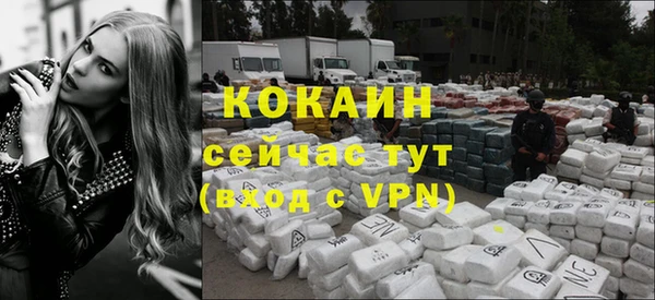 прущие крисы Арсеньев