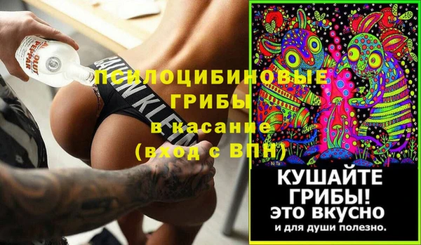 гидра Армянск